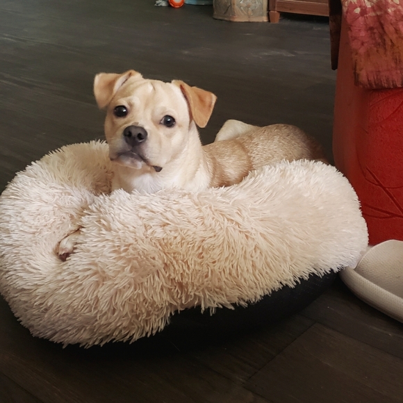 Meet your Posher, Bini23yam - Picture 1 of 1